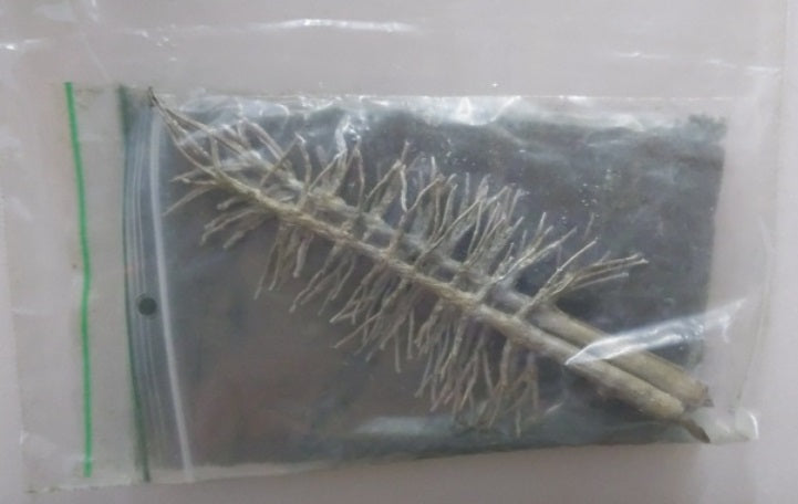 IHC 81090 HO Scale Fir Trees Metal Armature Kit (Pack of 3)