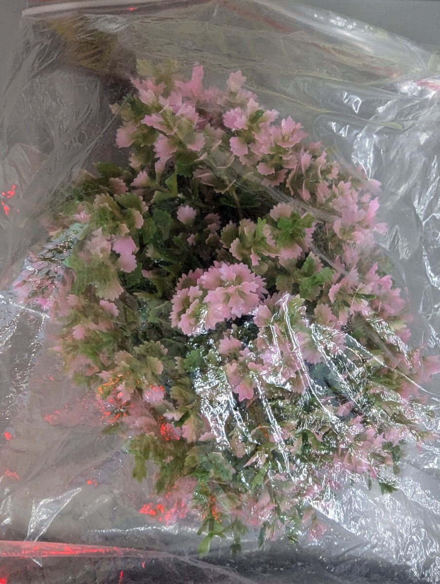 Trainz 6765 HO Scale Single Plastic Pink Flowering Tree