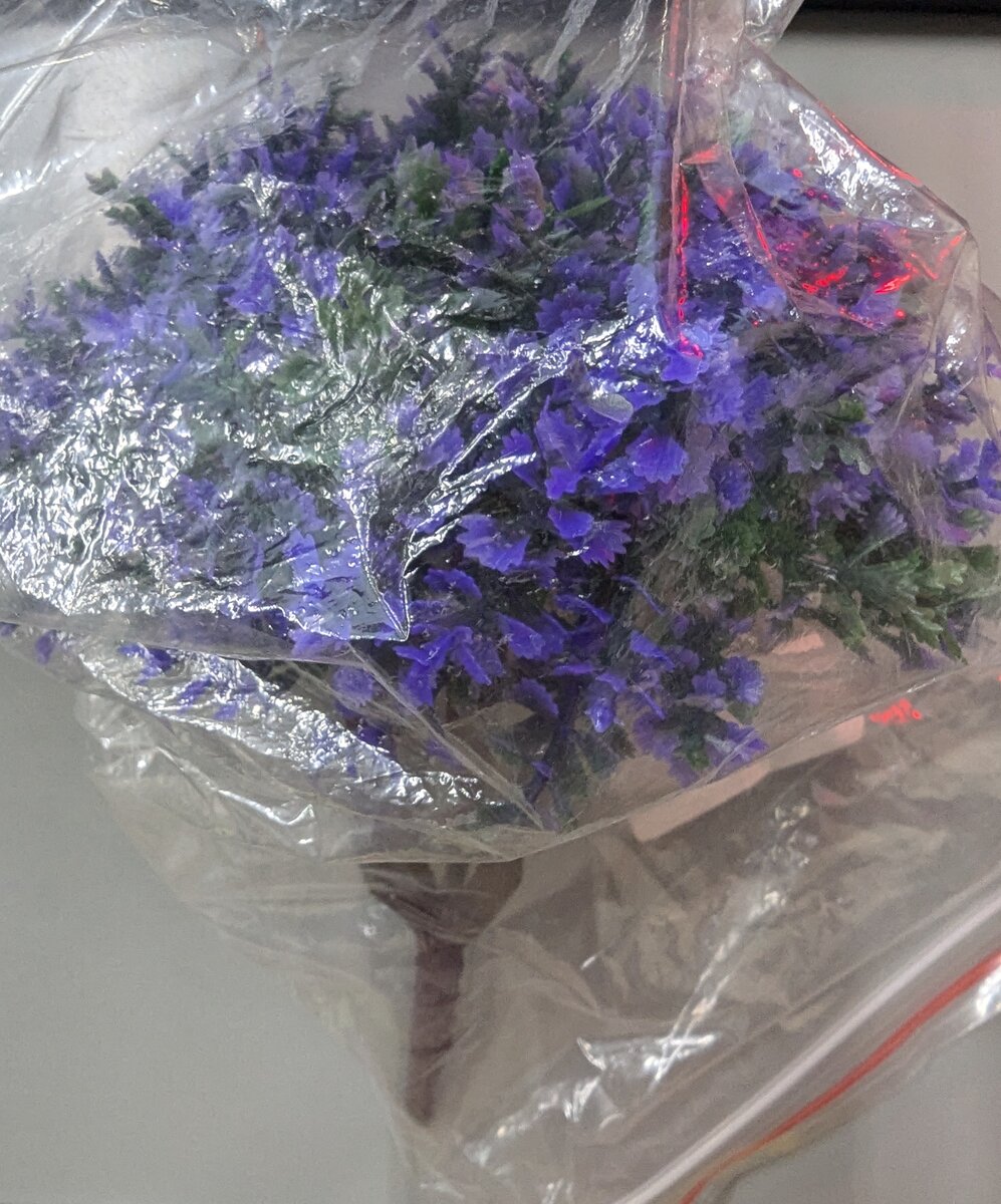 Trainz 6754 HO Scale Plastic Purple Flowering Dome Shaped Tree