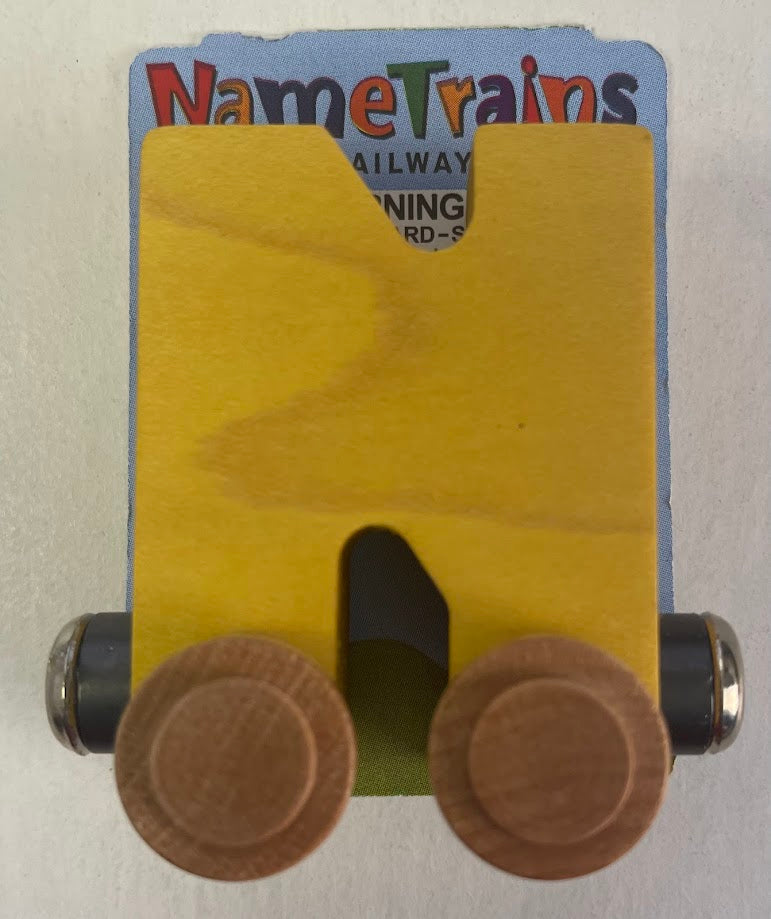 Maple Landmark Inc. 100146 NameTrains 
