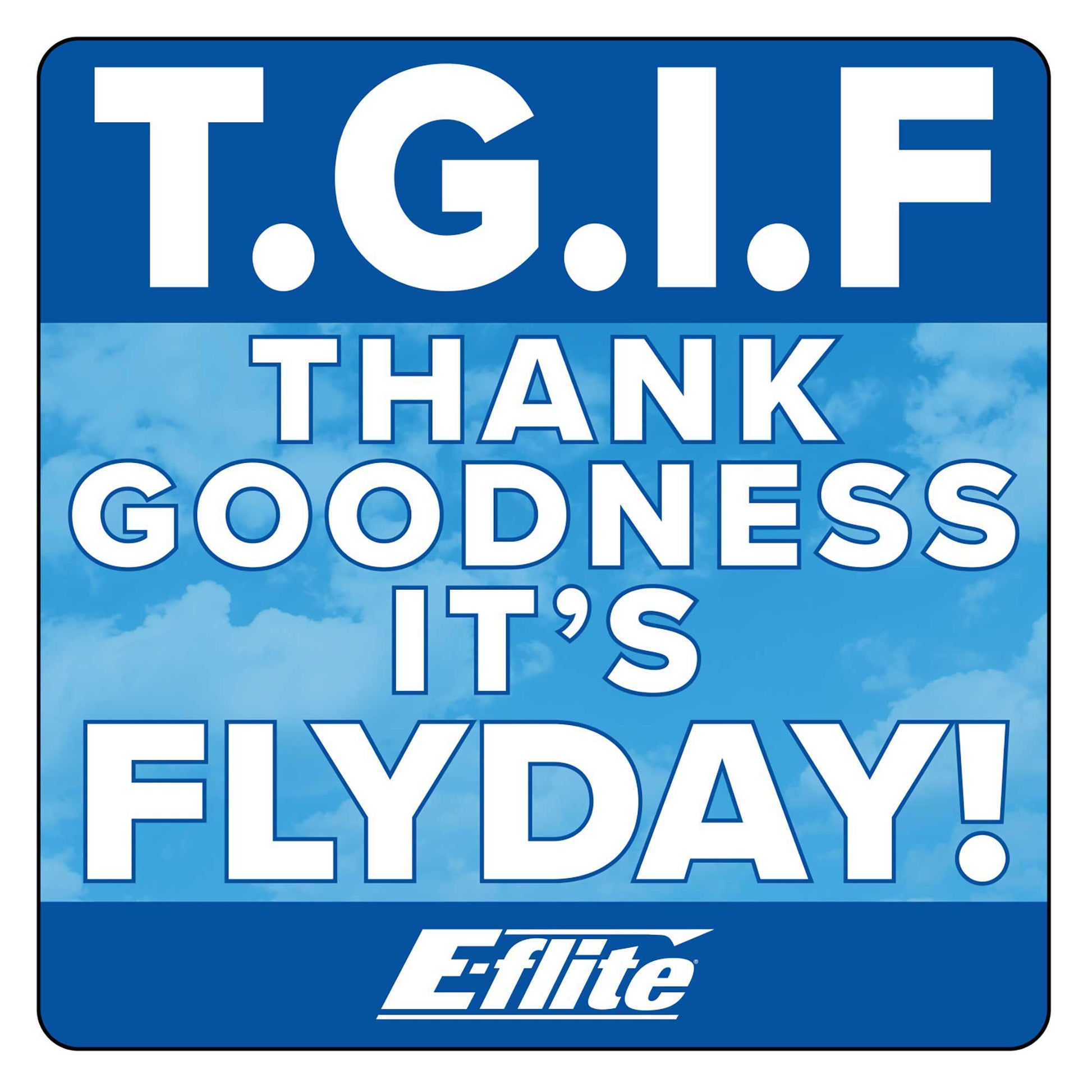E-flite EFL-2475 TGIF Sticker (Set of 25)