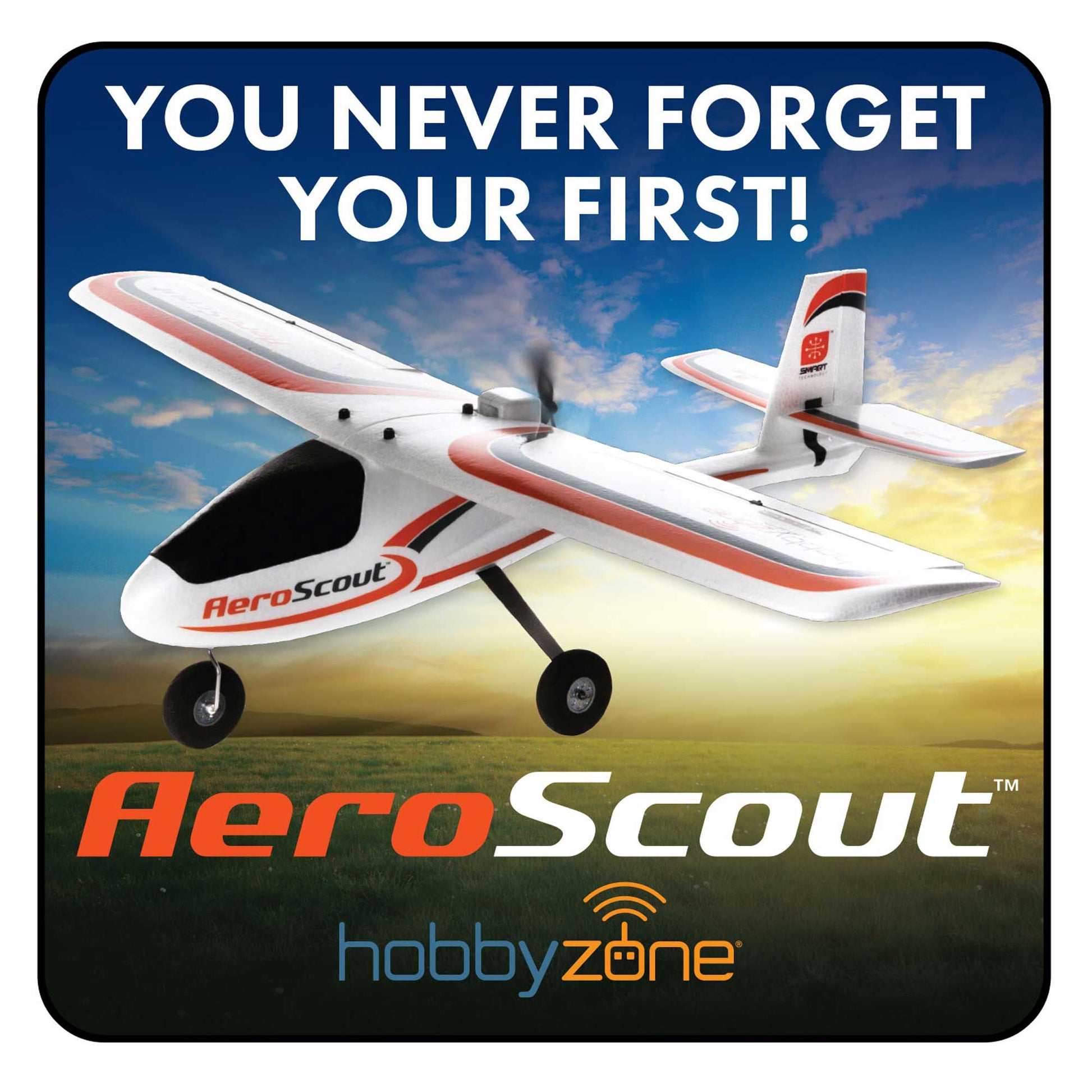 HobbyZone HBZ-2473 HobbyZone Aeroscout Sticker (Set of 25)