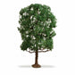 Noch 20105 HO/TT/N/Z/O/1/G 19 cm Chestnut Tree