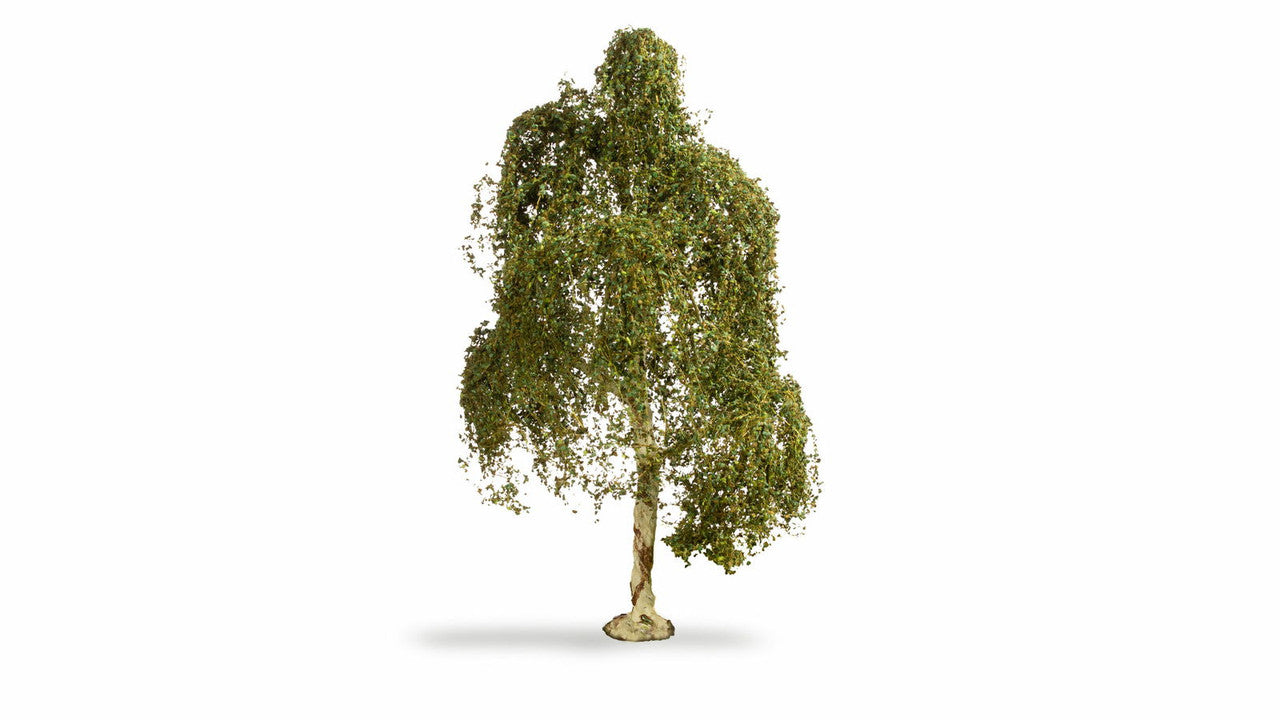 Noch 20120 HO/TT/N/Z/O/1/G 18 cm Silver Birch Tree