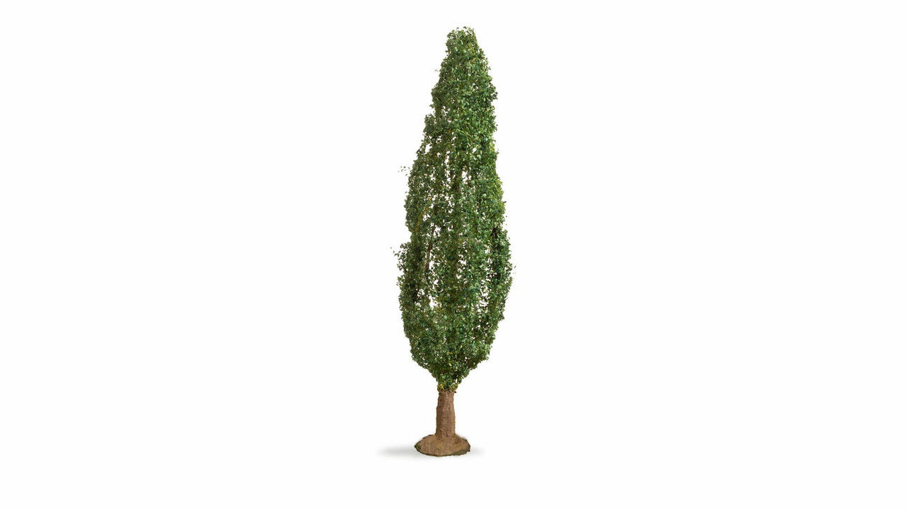Noch 20130 HO/TT/N/Z/O/1/G 18 cm Poplar Tree