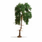 Noch 20140 HO/TT/N/Z/O/1/G 15 cm Pine Tree