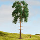 Noch 20141 HO/TT/N/Z/O/1/G 18 cm Pine Tree
