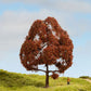 Noch 20150 HO/TT/N/Z/O/1/G 15 cm Copper Beech Tree