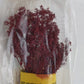 Forest In A Flash 212 N to O Scale Autumn Maple Deciduous Tree Kit