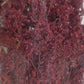 Forest In A Flash 212 N to O Scale Autumn Maple Deciduous Tree Kit