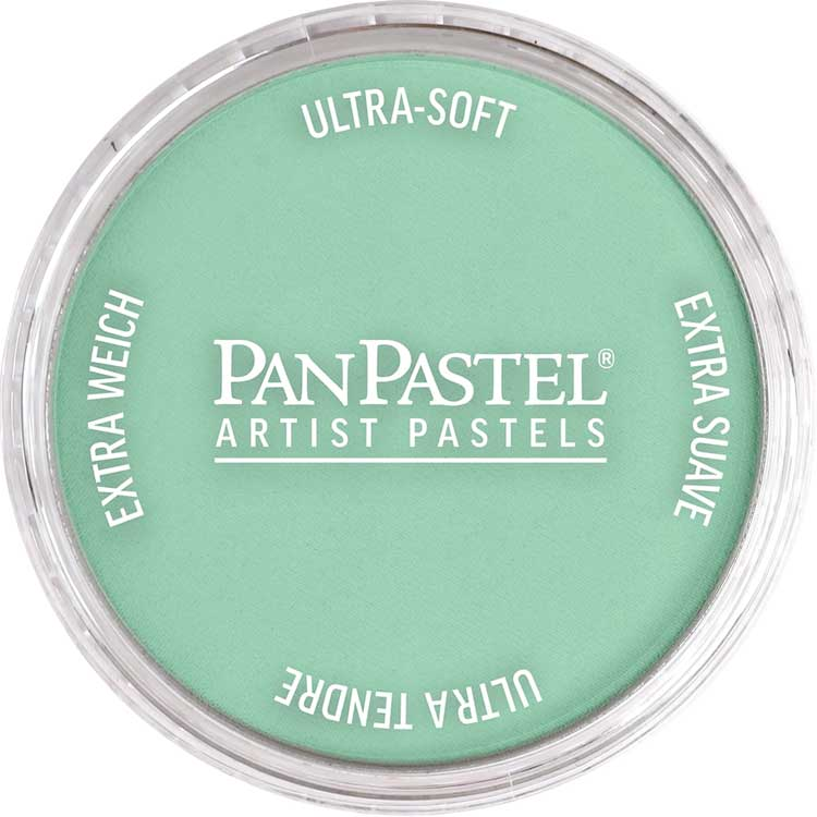 PanPastel 26407 Permanent Green Light Ultra Soft Artist Pastel