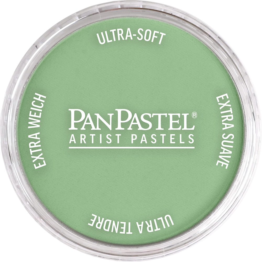 PanPastel 26607 Chromium Oxide Green Light Ultra Soft Artist Pastel