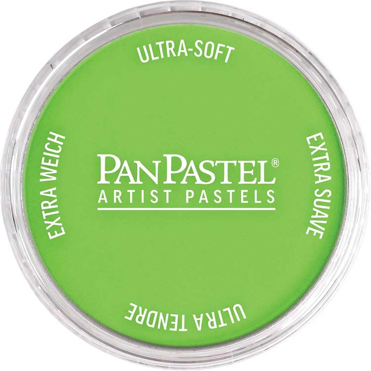 PanPastel 26905 Yellow Green Ultra Soft Artist Pastel