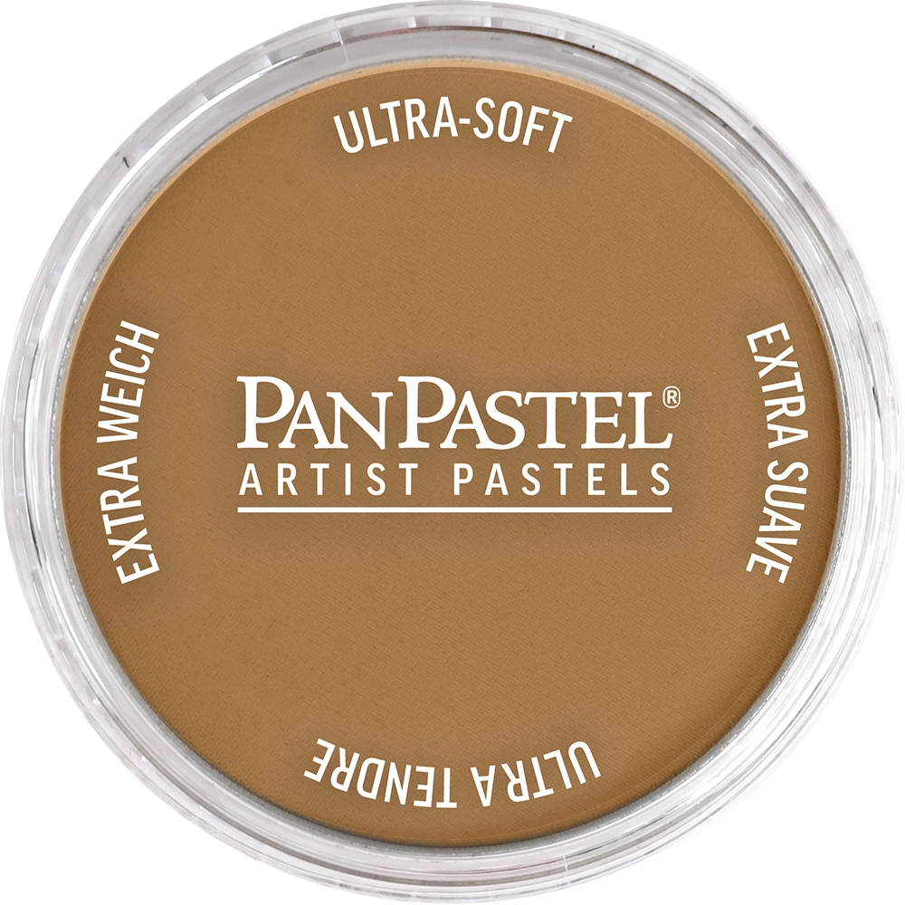PanPastel 27606 Burnt Umber Medium Ultra Soft Artist Pastel