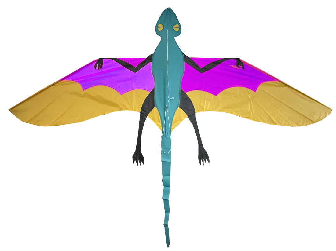 Sky Dog Kites 10055 Joel Scholz Dimorphodon Kite