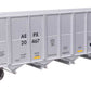 Walthers 910-56868 HO AEPX 50' RD-4 Hopper RTR #20433, #20452, #20467 (Set of 3)