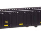 Walthers 910-6466 HO CSX 68' Railgon Gondola Ready To Run #491719
