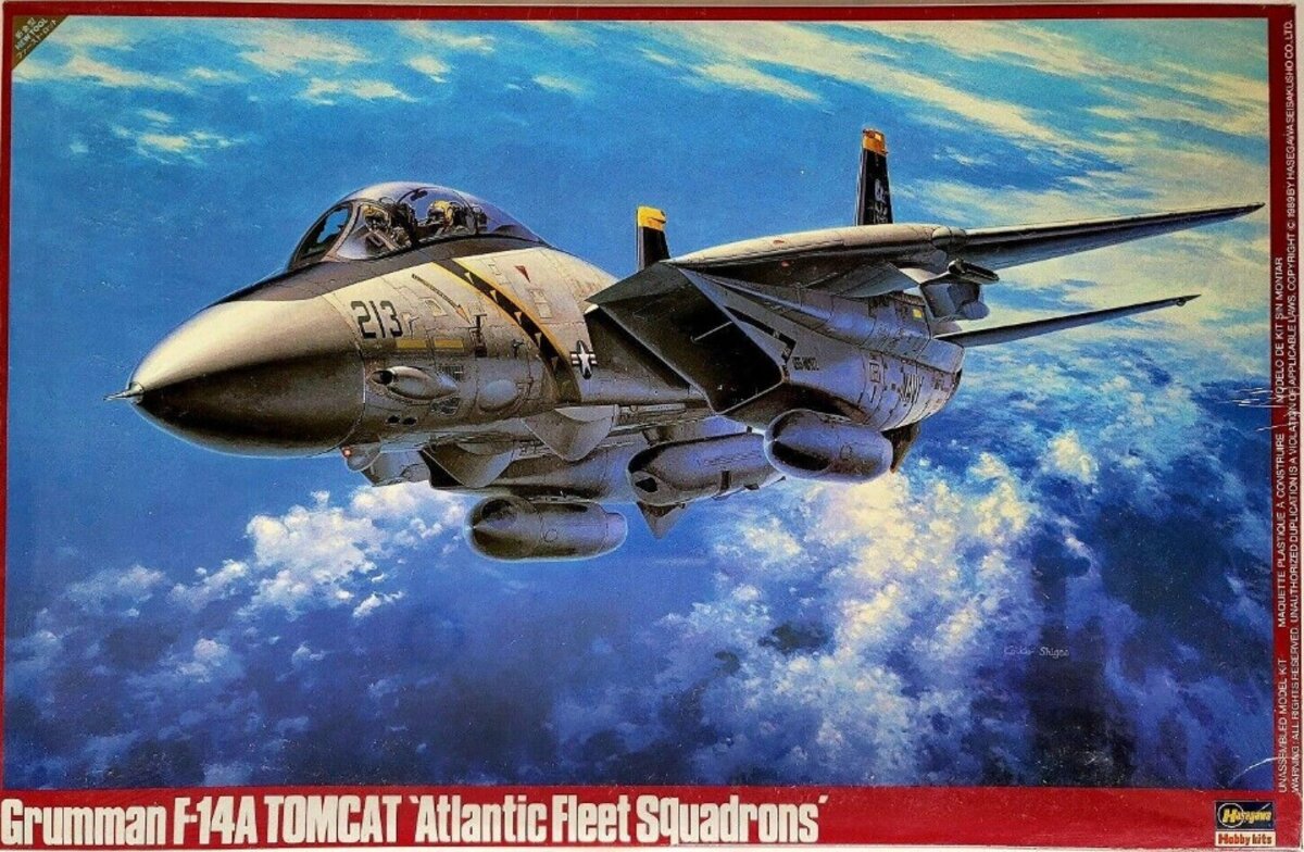 Starting a Hasegawa 1/72 F-14A TOMCAT Atlantic Fleet Squadrons : r Starting a Hasegawa 1/72 F-14A TOMCAT Atlantic Fleet Squadrons : r