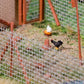 Faller 180264 N/HO/Z/TT Chickens Mini Sound Effect