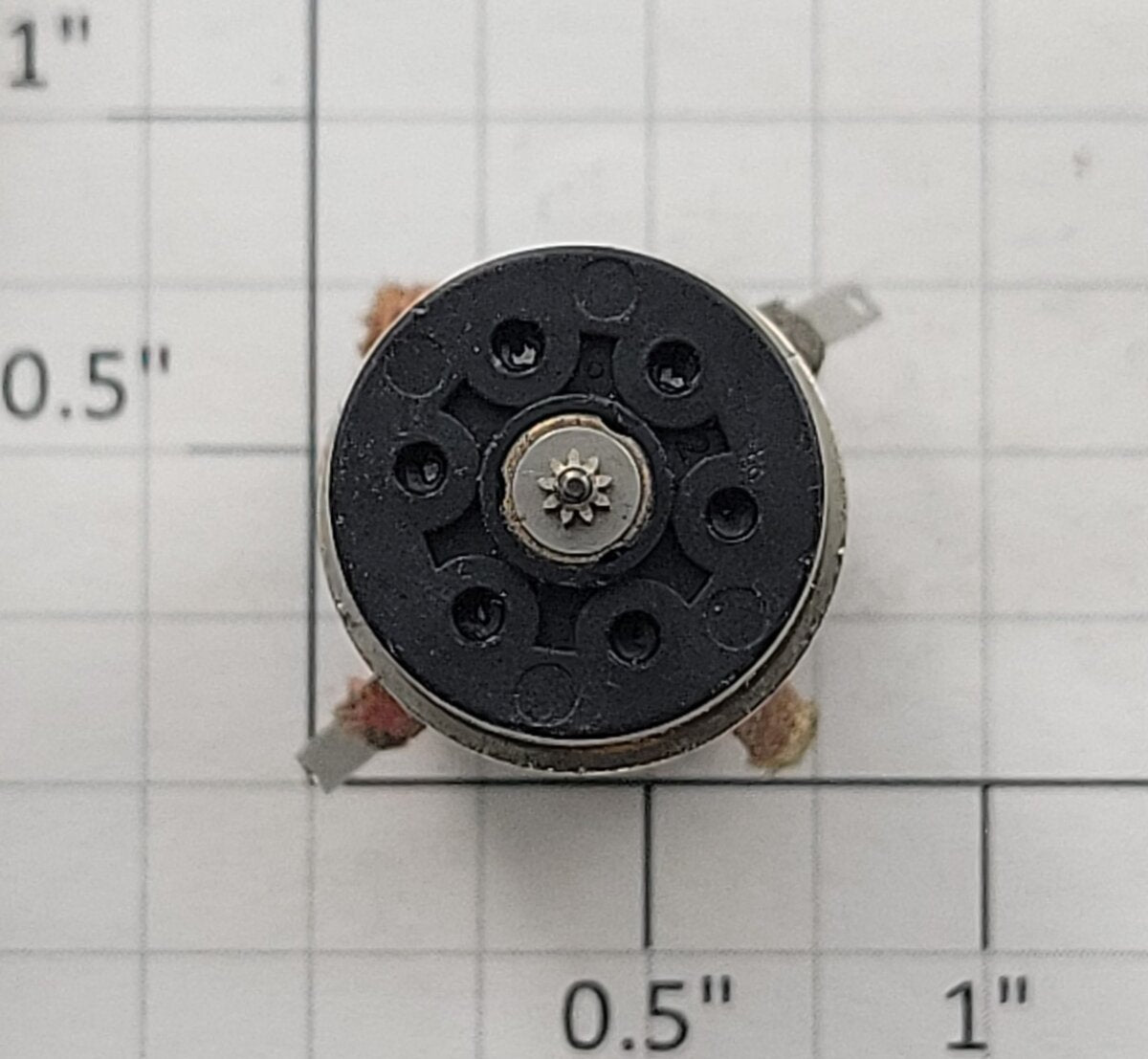 Faulhaber 19-1030 12-Volt DC Can Motor with Pinion Gear
