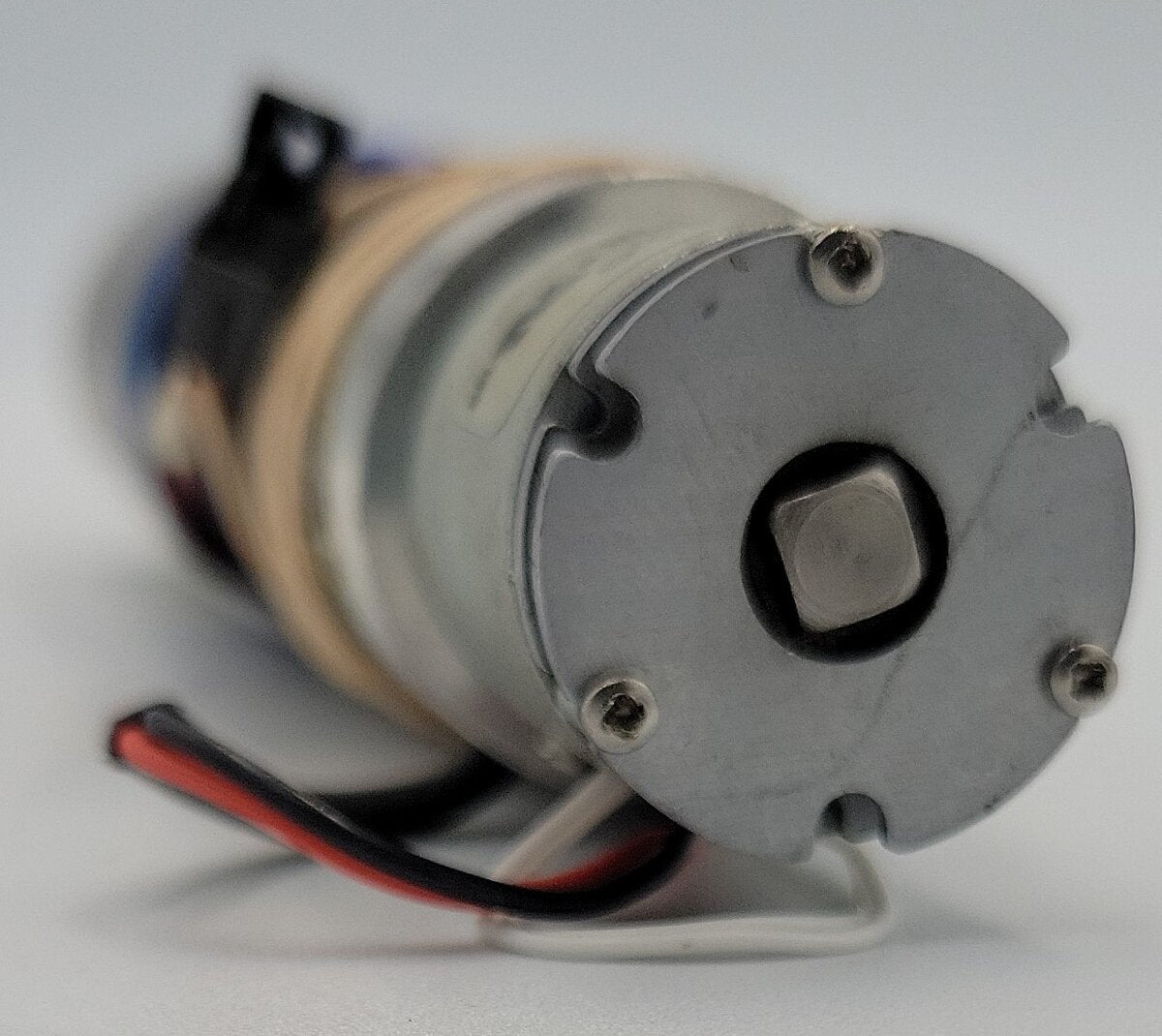 Faulhaber 038771 12 Volt DC Can Minimotor with Wiring