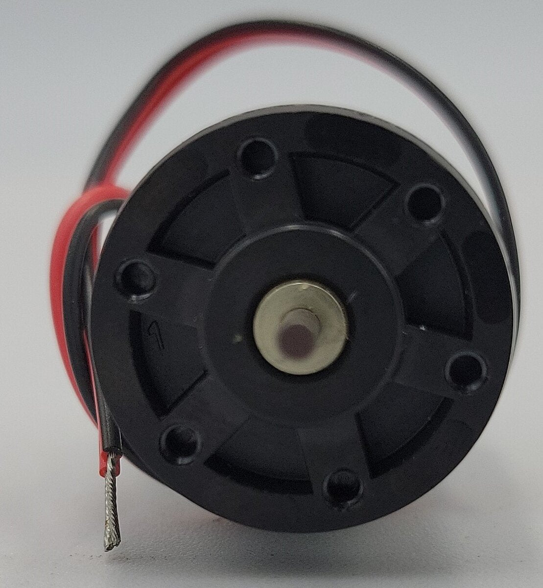 Escap 22V28213E207 12 Volt Brushed DC Can Motor with Wires