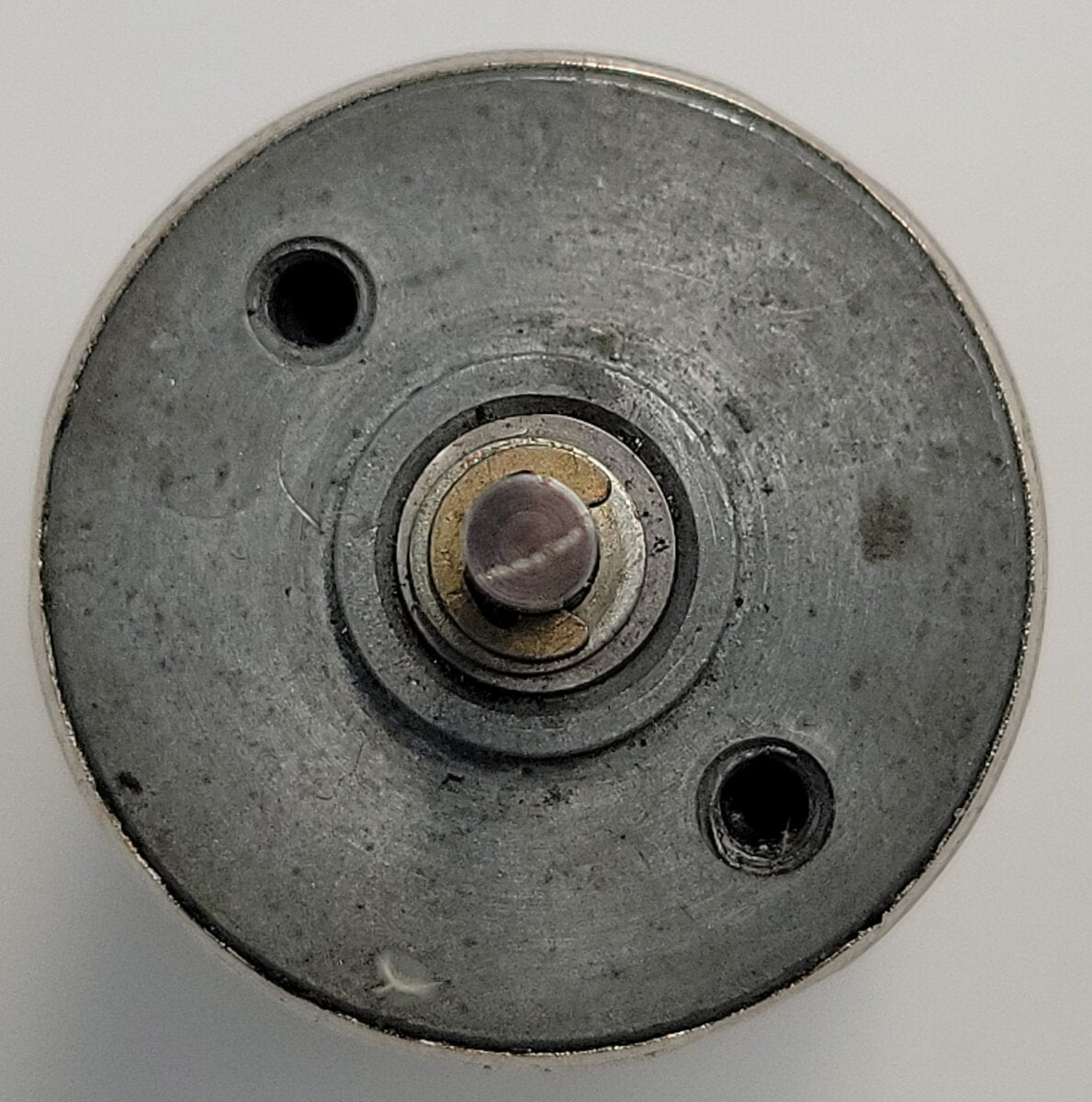 Escap 26 2RL 11 213 P 116 12 Volt DC Can Motor with Wire