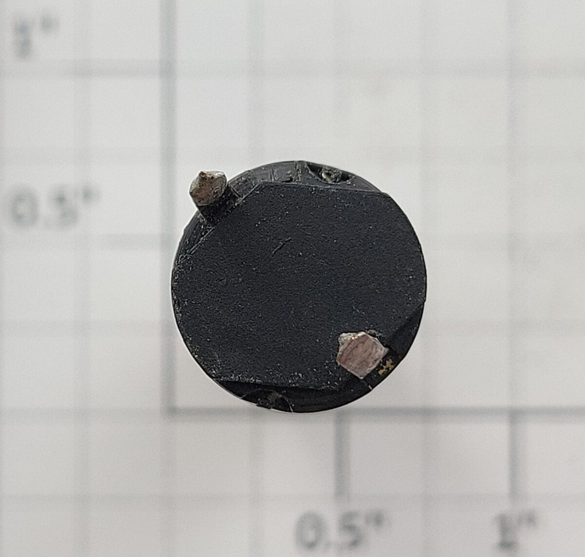 Maxon 134267 12-Volt DC Can Gear Motor