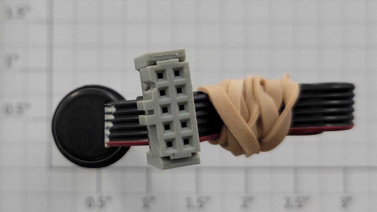 Maxon 134323 12-Volt DC Can Motor