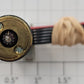 Maxon 134323 12-Volt DC Can Motor