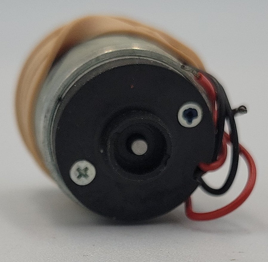 maxon 317030 12 Volt DC Can Motor