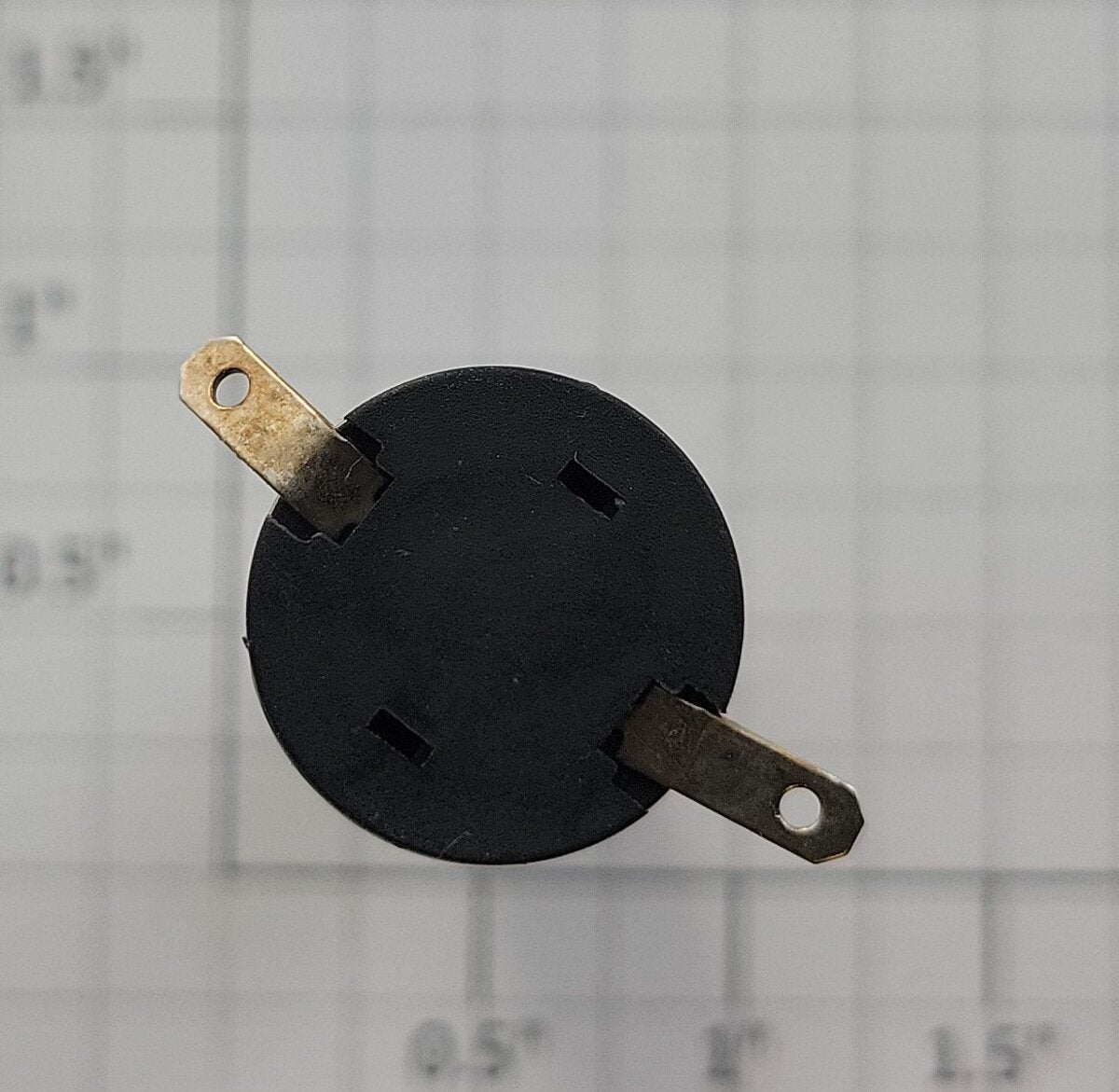 Maxon 251054 12-Volt DC Can Motor