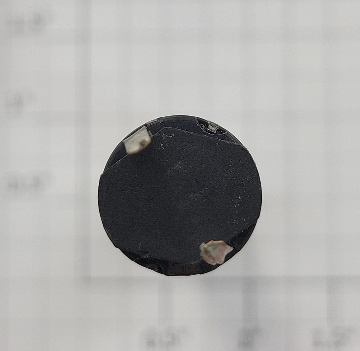 Maxon 135267 12-Volt DC Can Motor