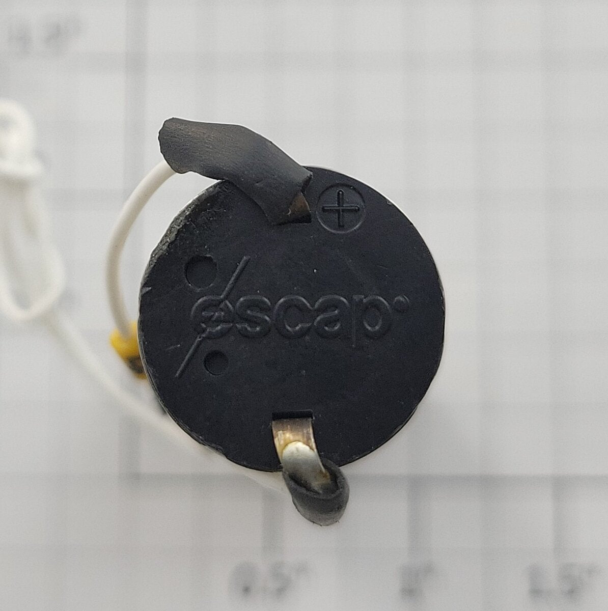 Escap 16N 28 207E 12-Volt Can Motor with Gearbox