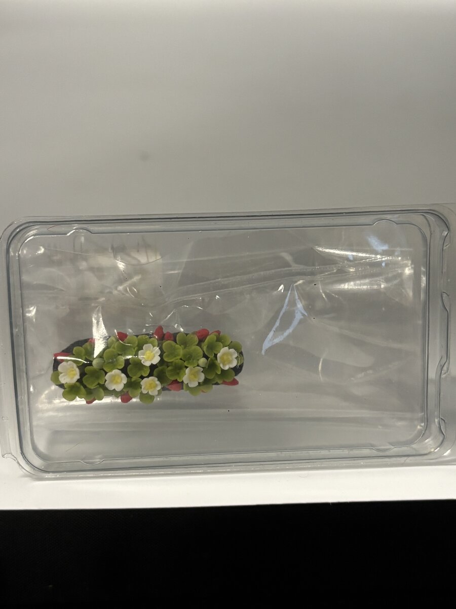 Scenic Express FC1697 N-Scale Strawberry Patch