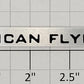 American Flyer AFL663 S Scale Passenger Car "663 American Flyer Lines" Nameplate