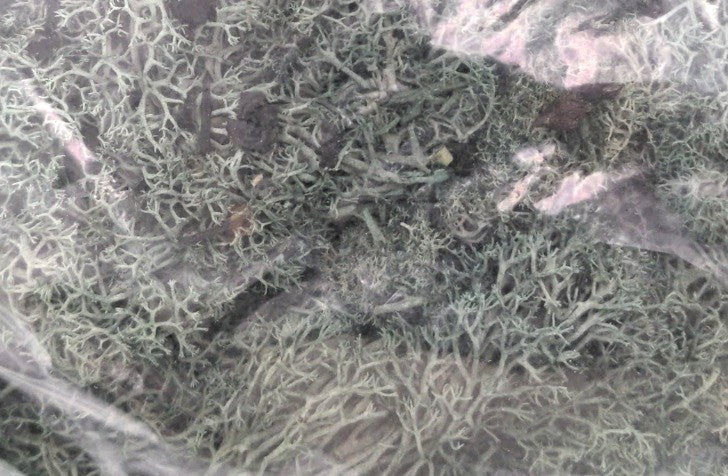 Vista Scenic Hobby Production 5010 Lichen Dark Green 17.6 Oz. Bag