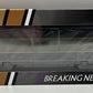 True Line Trains 300219 HO 40' Boxcar CN 11134