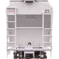 Walthers 910-49330 HO WW 39' Trinity 3281 2-Bay Covered Hopper RTR #9576