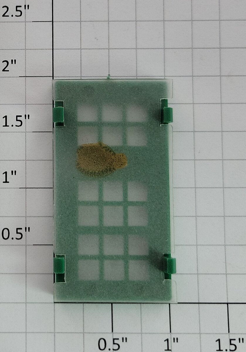 Lionel 132-12 Operating Freight Station Green Window with Glass