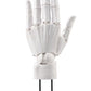 Kotobukiya AT036 White Men's Left Hand Model Plastic Model Kit