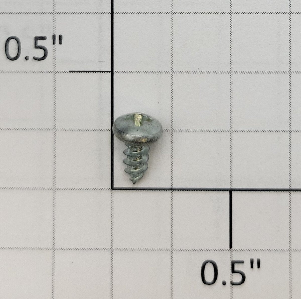 K-Line K7300-2 #5 x 1/4" Hopper Plate Phillips Pan Head Self Tapping Screw