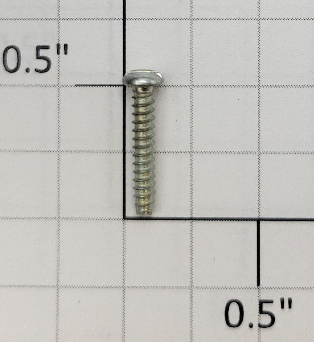 Acme #2 x 1/2" Self Tapping Pan Head Slotted Body Screw