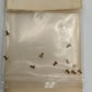 Walthers Metric Screws 1.2mm X 3.0mm