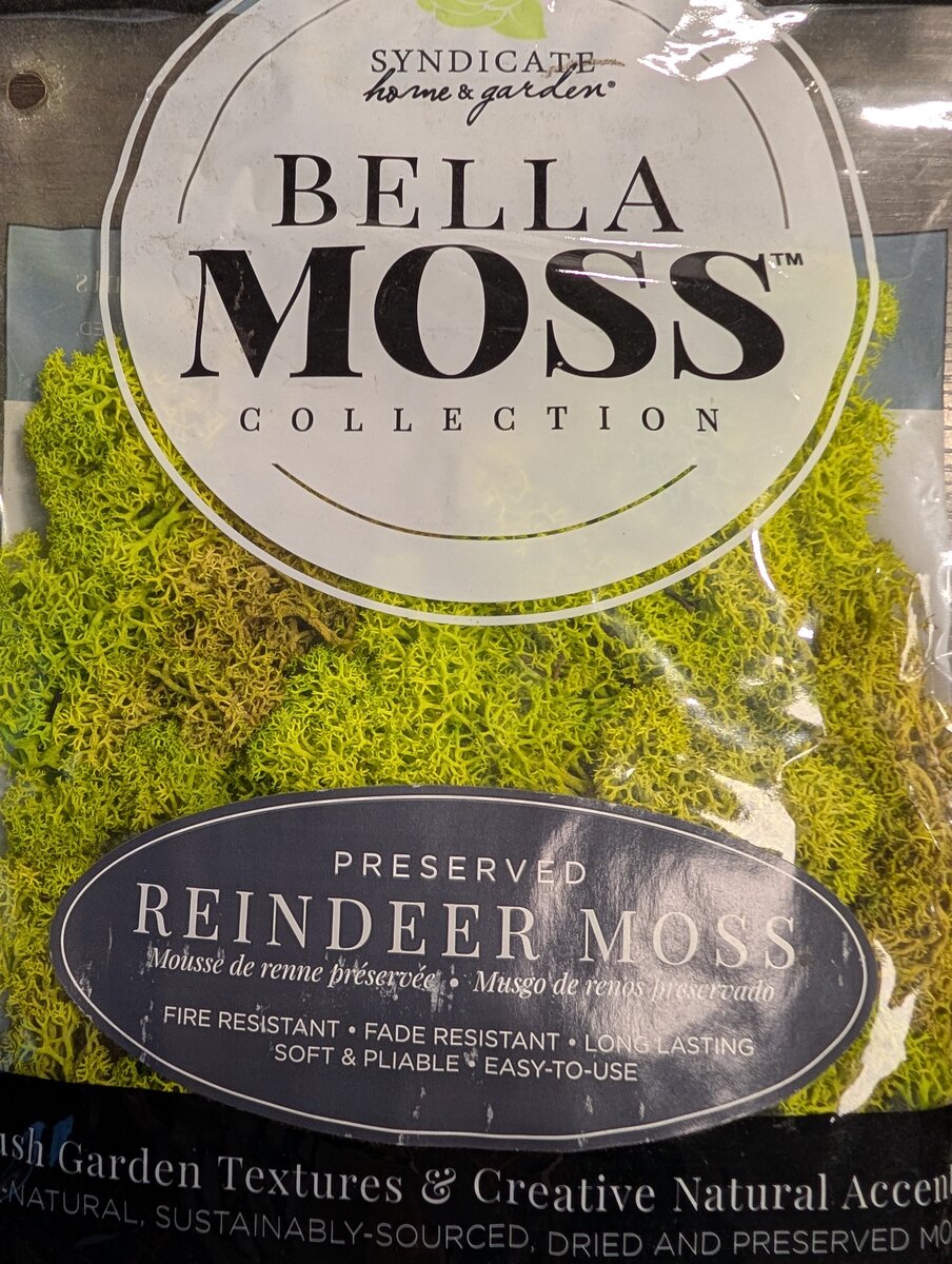 Syndicate 109798 Bella Moss Preserved Reindeer Moss 80 Cu In (Light Green)