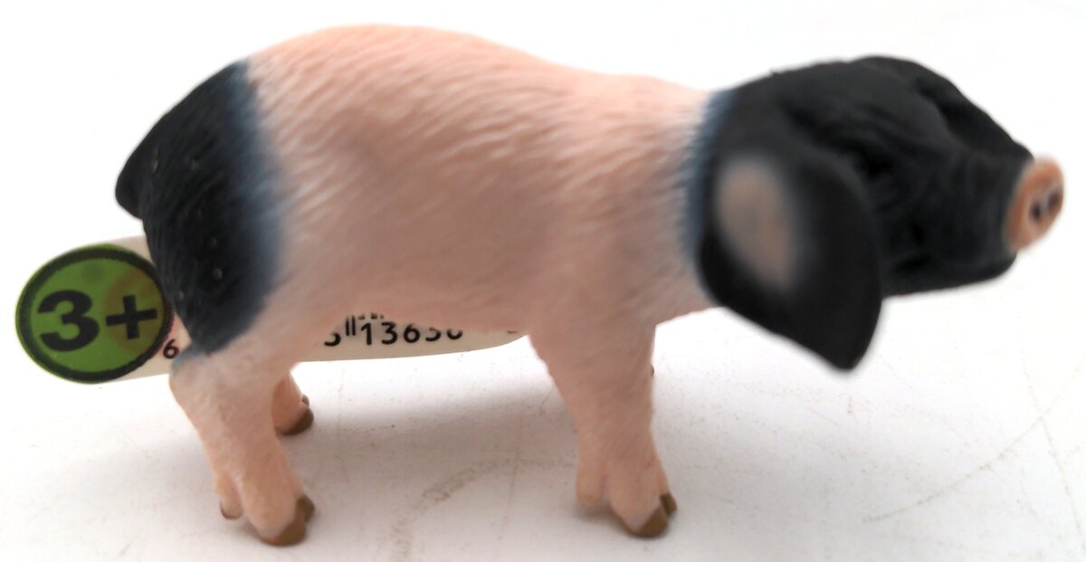 Schleich 13636 Swabian Hallian Piglet