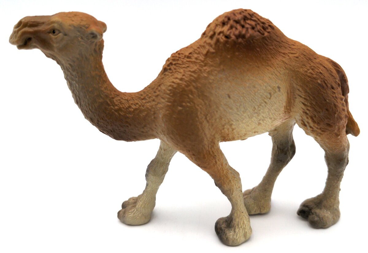 Schleich Camel Wild Life