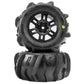 Pro-Line Racing PRO1031210 1:16 Dumont Paddle Tires Mounted 12mm Black Split Six