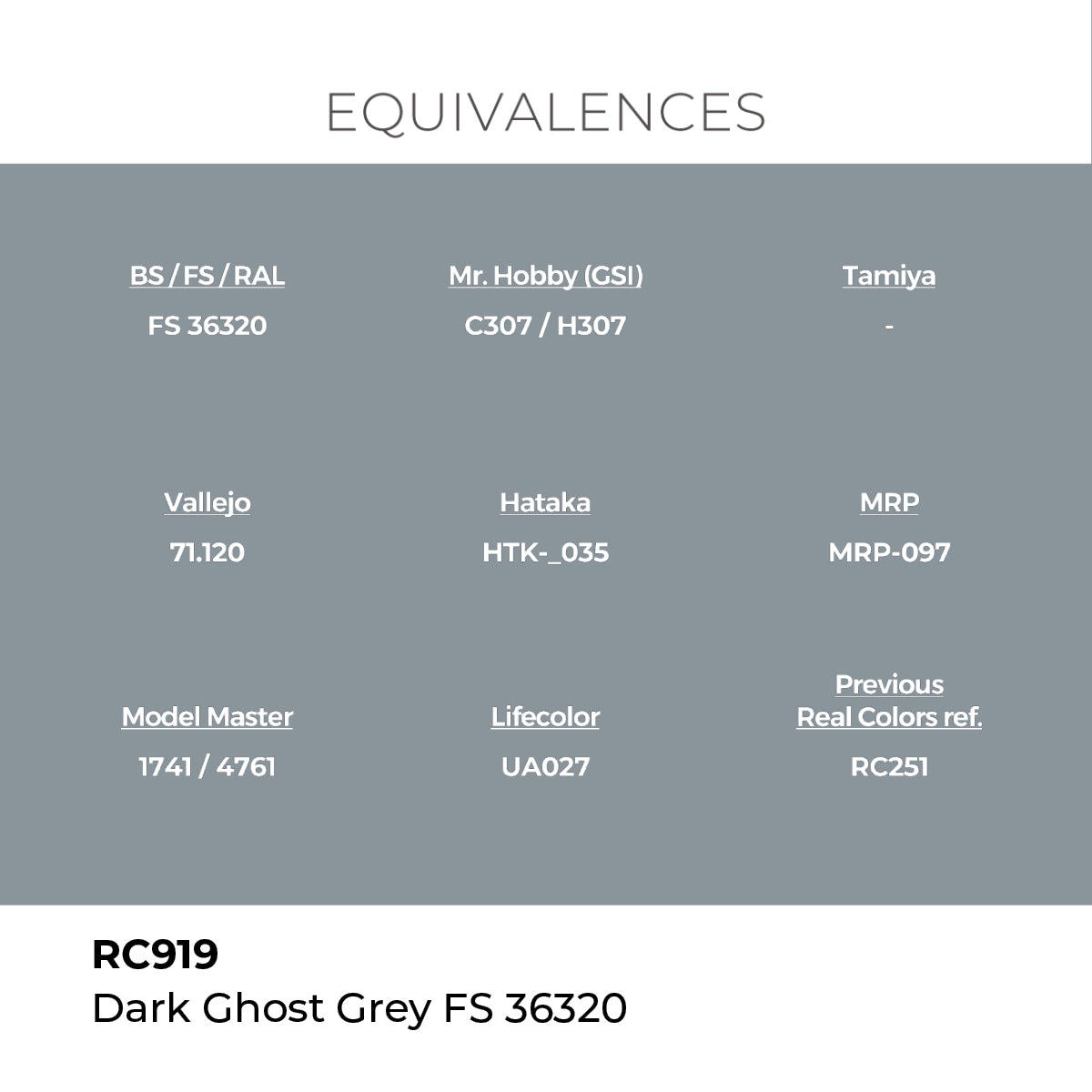 AK Interactive RC919 Real Colors Military Dark Ghost Grey - 17 ml Paint Bottle