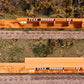 Bowser 42819 HO TTAX 3-Unit 53' Trinity Spine Car #355009